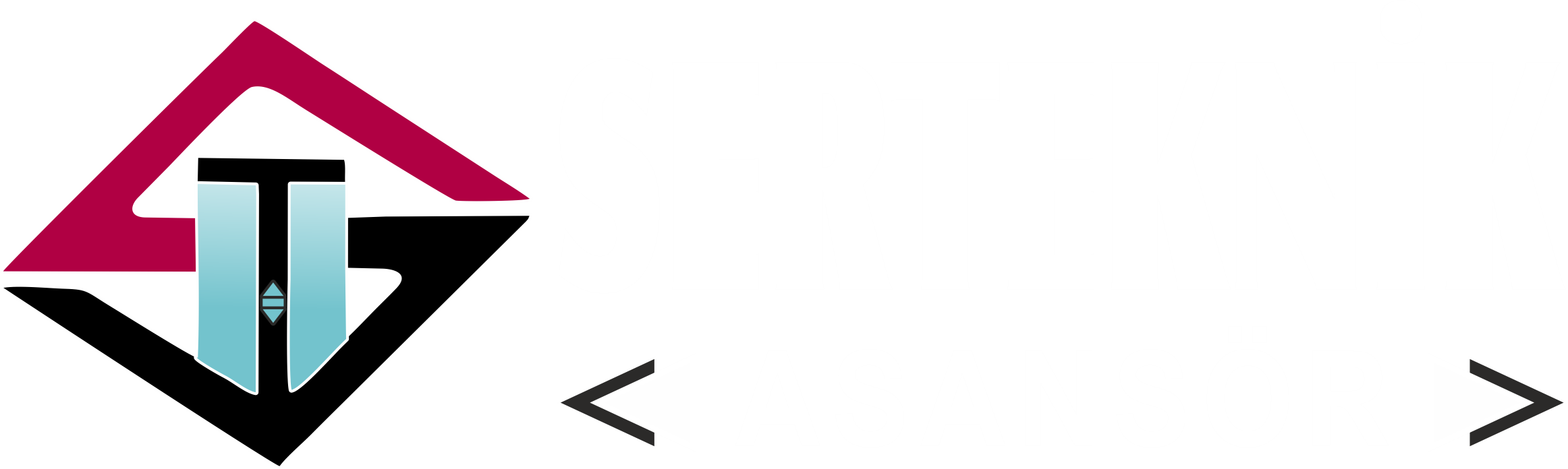 Serteknik Asansör